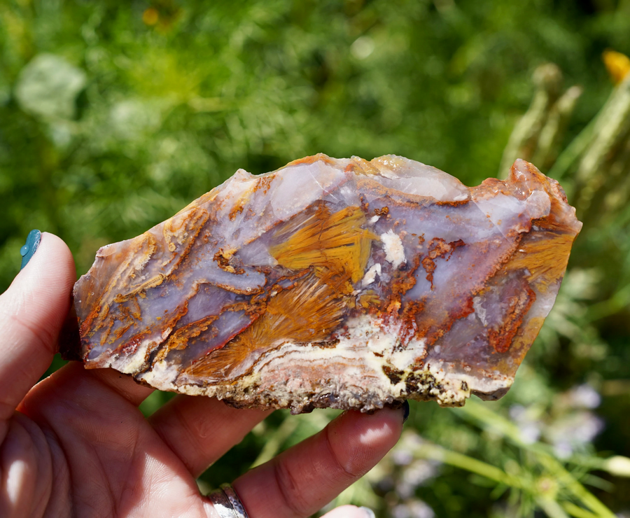 Founder-labelled Burro Creek agate slab showing lavender silica, golden-orange angular and streaked areas, pale bands and reddish seams.