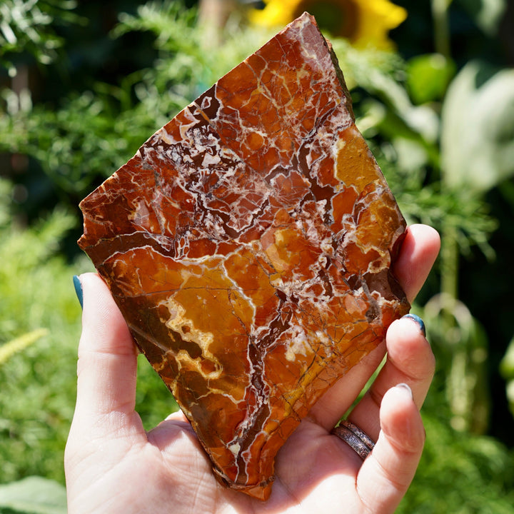 Founder-labelled Stone Canyon Agate slab with angular red, orange and yellow areas divided by white mineral seams; exact collecting locality undocumented.