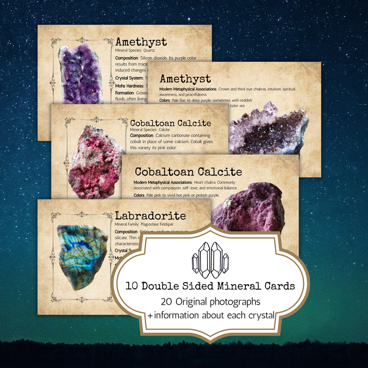 Shop Digital Downloads