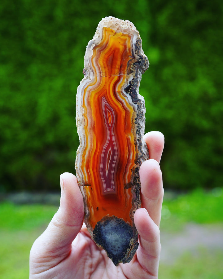 Laguna Agate for lapidary