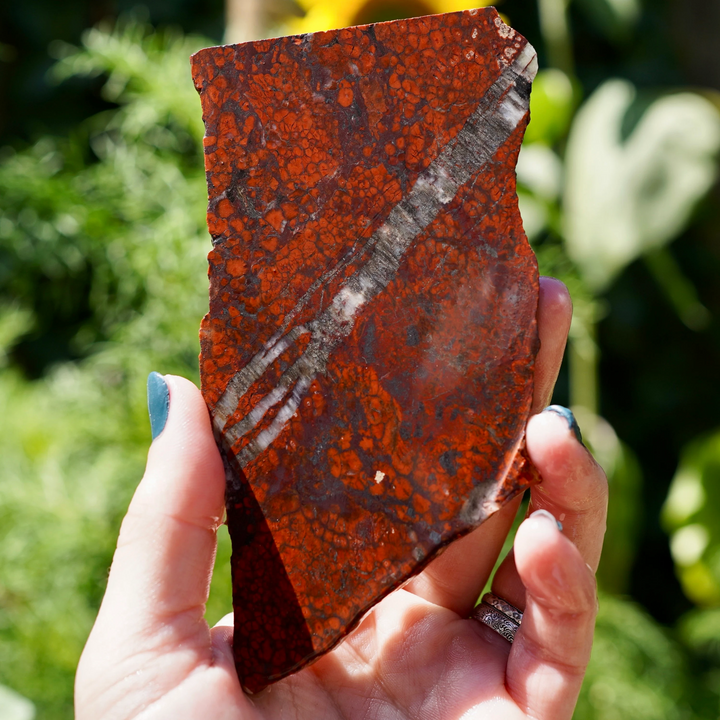 Founder-identified Cave Creek jasper-agate slab with orange-red patterning, dark outlines and pale diagonal veins.