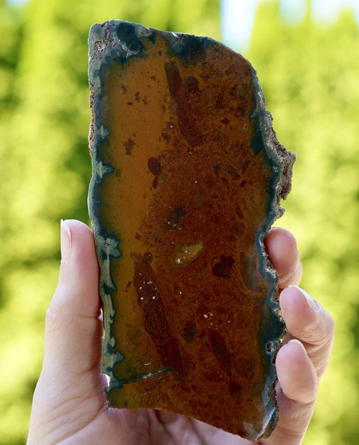 Founder-labelled Maury Mountain Moss JaspAgate slab with amber-brown interior, reddish inclusions and dark green edging.