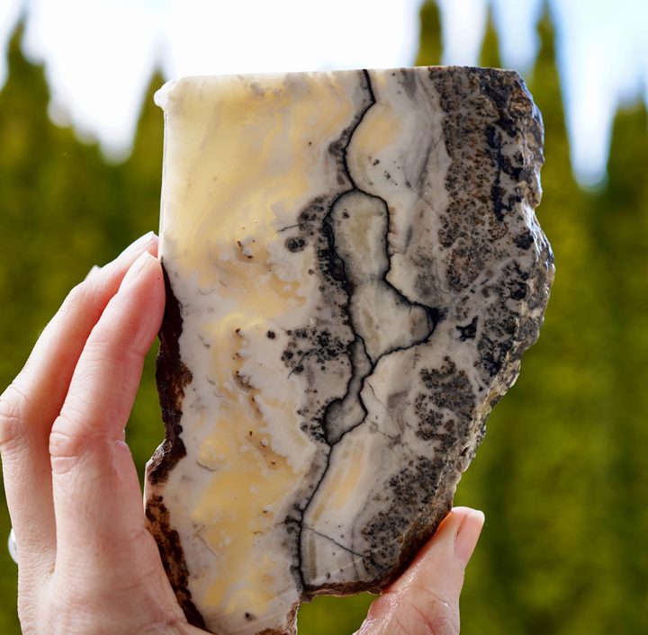 Silver Lace Onyx