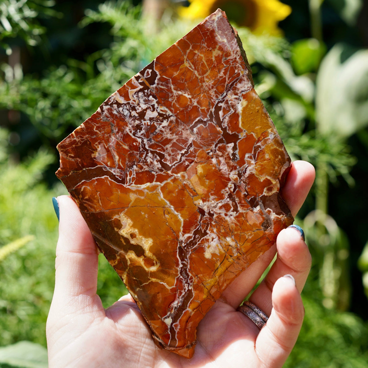 Red, orange and golden-yellow angular fragments crossed by white mineral seams in a hand-held Stone Canyon Agate slab.