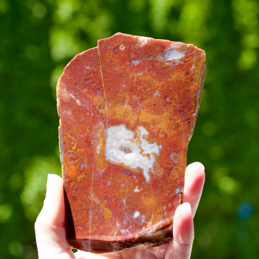 C&C-supplied red-orange Stone Canyon agate–jasper slab with pale banded pockets, held outdoors.